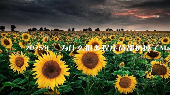 2025年，为什么很多程序员都扔掉了Mac和Linux，开始拥抱Win11了？