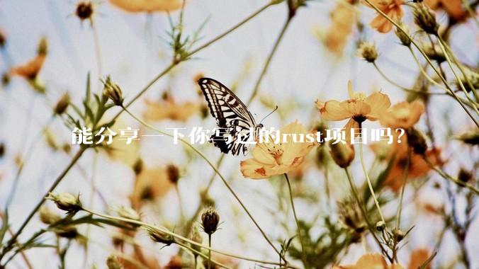 能分享一下你写过的rust项目吗？